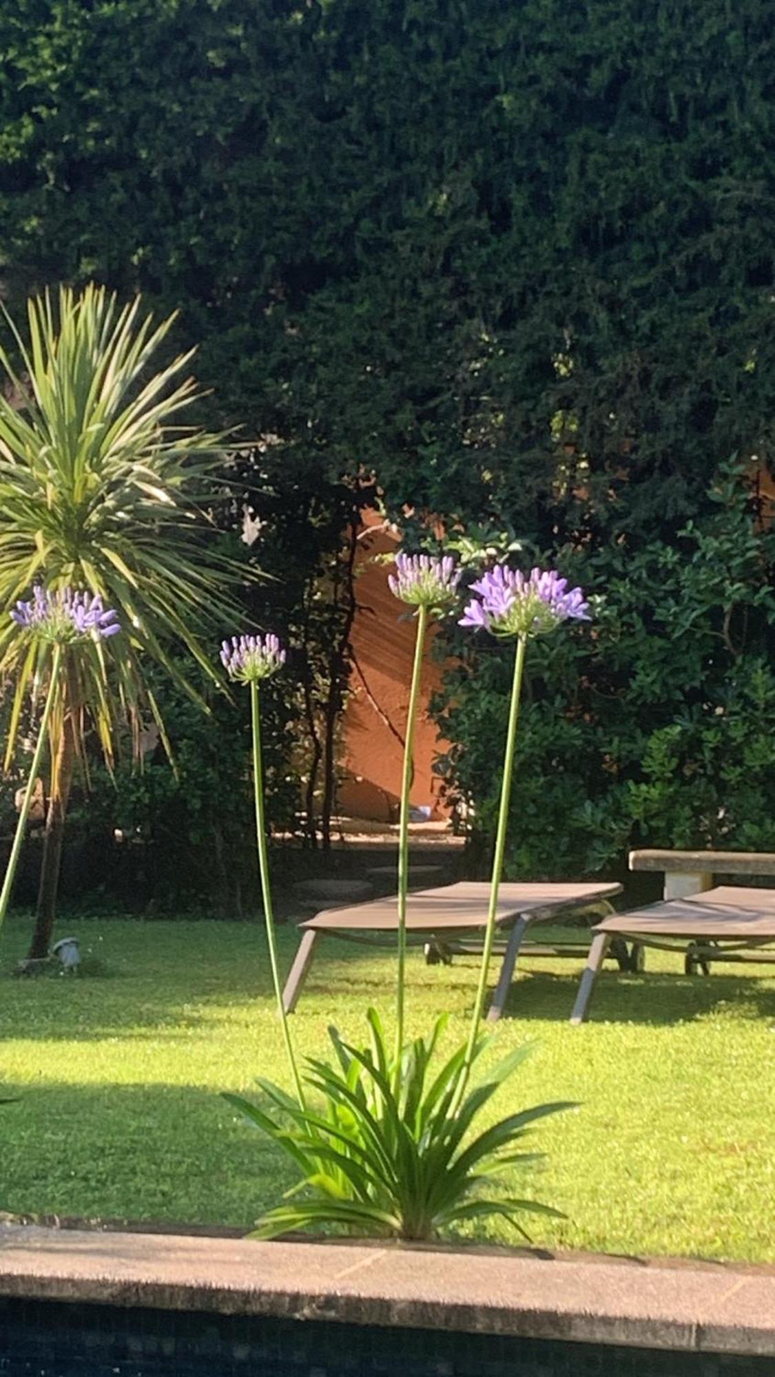 Bed and Breakfast La Demeure Eyguieres Экстерьер фото